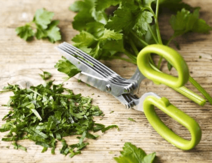 Dropshipping Herb Scissors