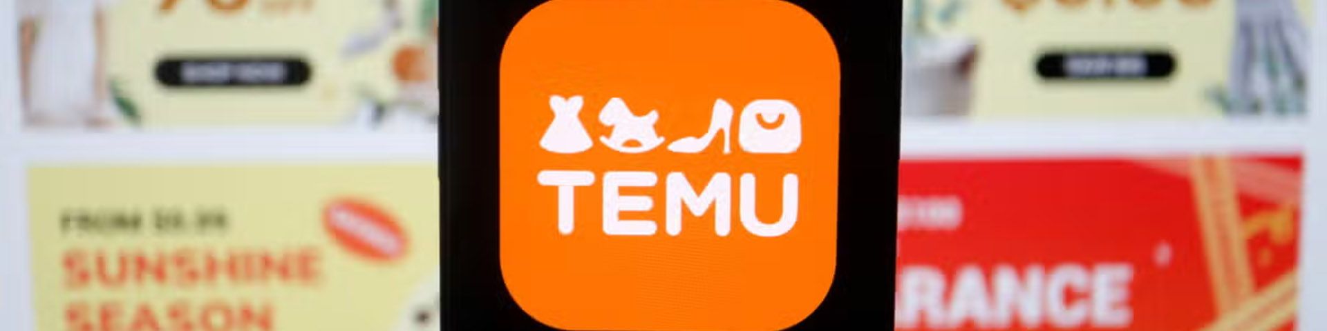 dropshipping with temu
